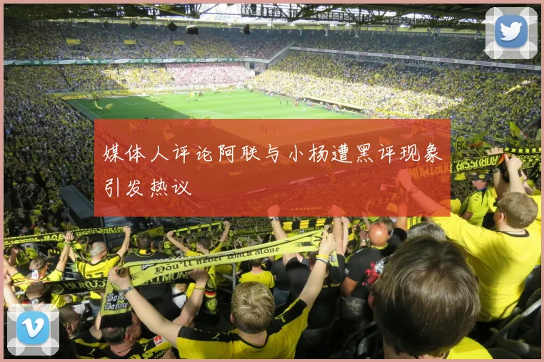 媒体人评论阿联与小杨遭黑评现象引发热议