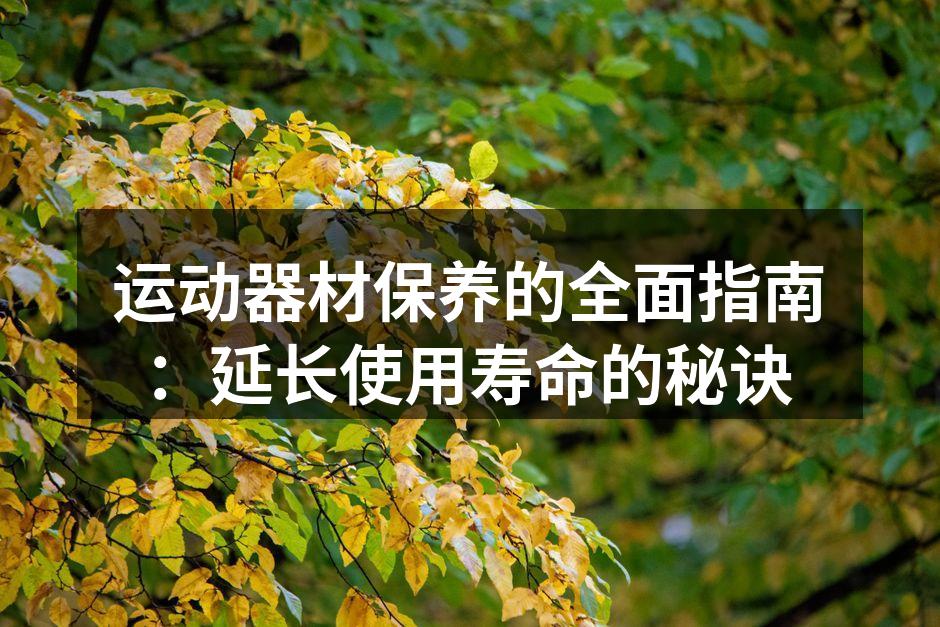 运动器材保养的全面指南：延长使用寿命的秘诀