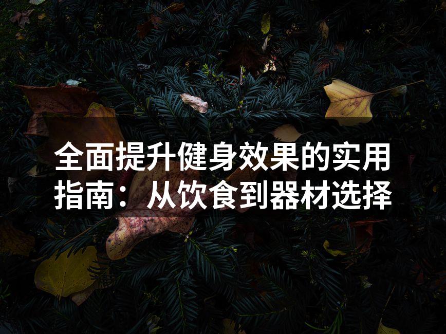 全面提升健身效果的实用指南：从饮食到器材选择