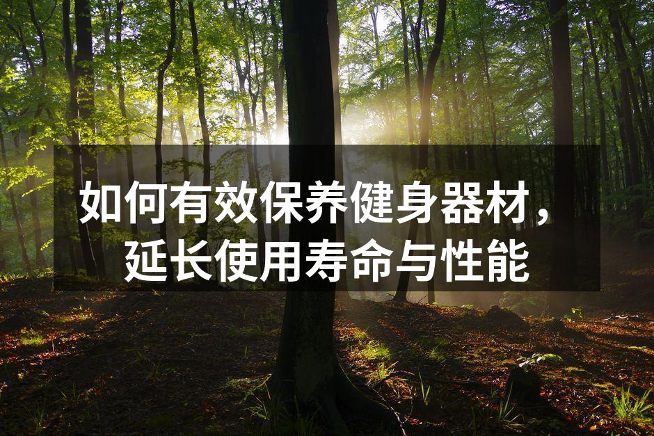 如何有效保养健身器材，延长使用寿命与性能